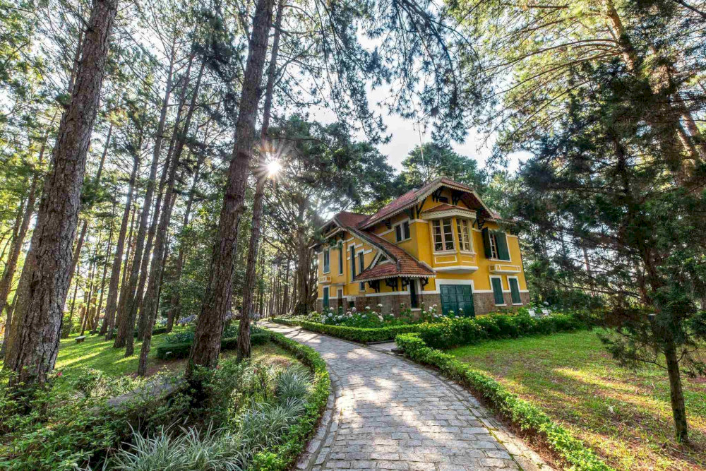 Rừng Thông Đà Lạt